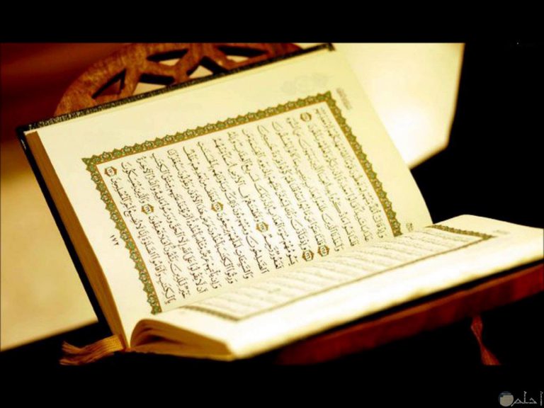 منزلة المرأة في الإسلام