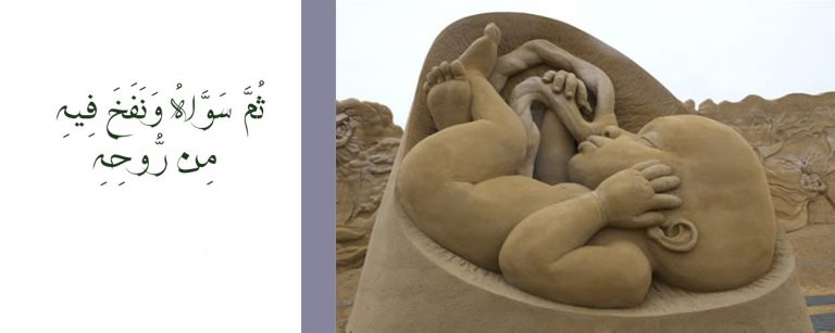 حقيقة الإنسان وقيمته النهائية