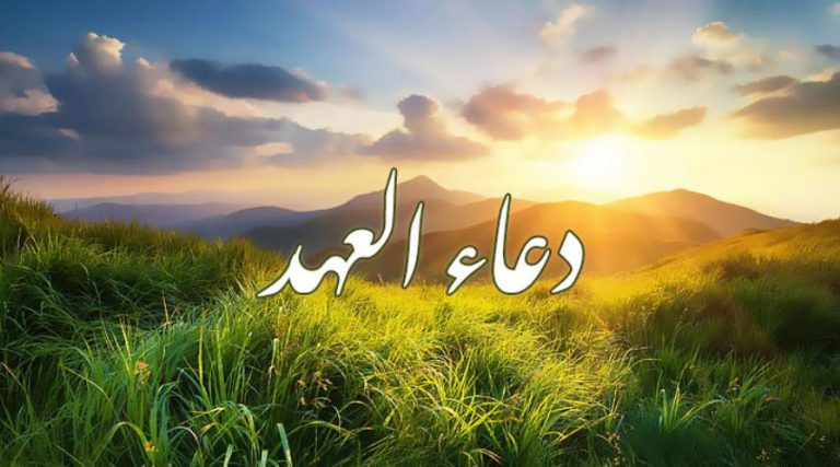 دعاء العهد.. دعاء انصار الإمام المهدي (عج)