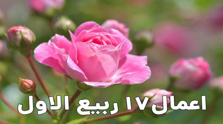 أعمال 17 ربيع الأول كاملة مكتوبة