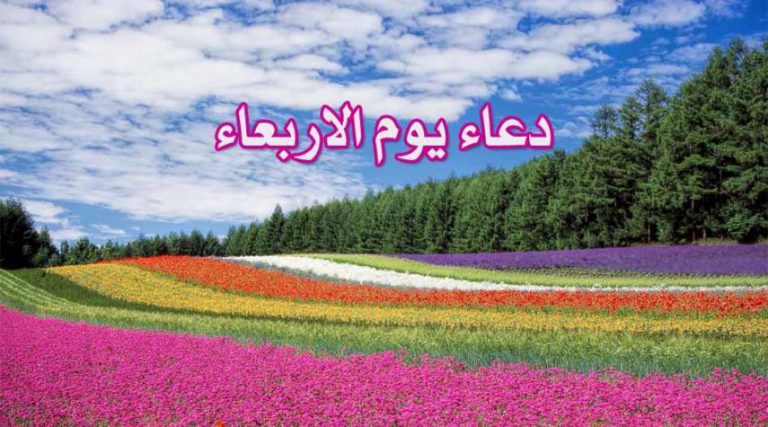 دعاء يوم الأربعاء للإمام علي بن الحسين زين العابدين عليه السلام كامل مكتوب