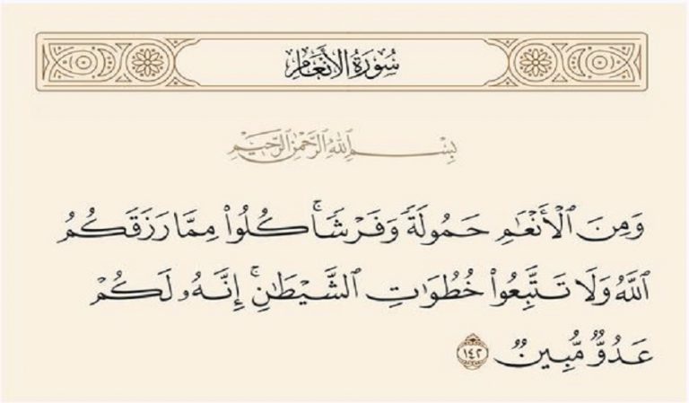 تأملات قرآنية (وَمِنَ الْأَنْعَامِ حَمُولَةً وَفَرْشًا..)