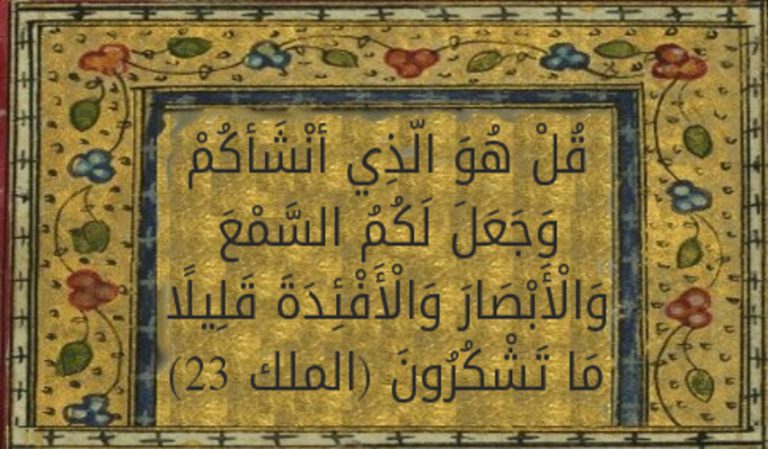 قبسات قرآنية (62 )..(قُلْ هُوَ الَّذِي أَنْشَأَكُمْ وَجَعَلَ لَكُمُ السَّمْعَ وَالْأَبْصَارَ وَالْأَفْئِدَةَ ...)