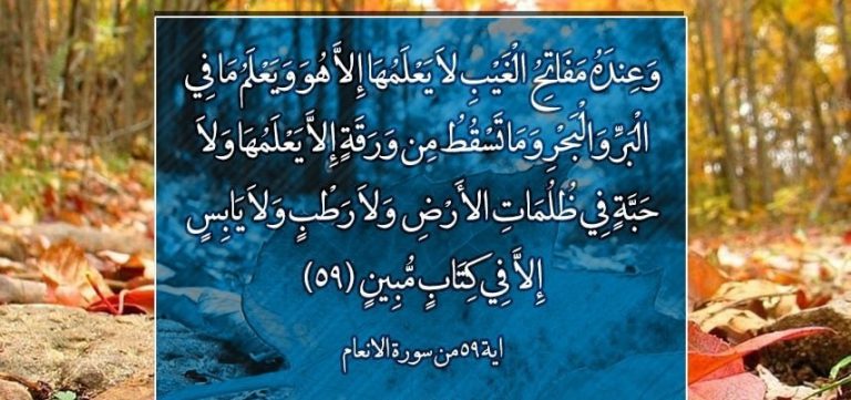 تفسير الآية 59 من سورة الانعام