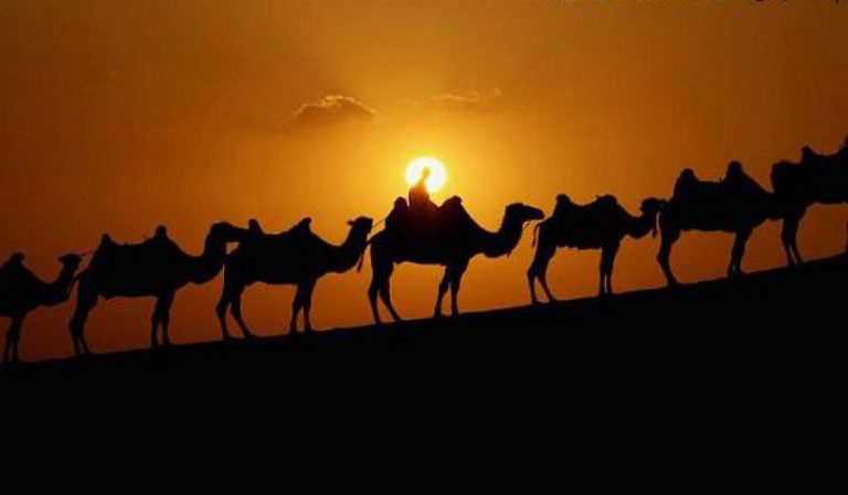 بدء تحرك الامام الحسين (ع).. خروجه من المدينة إلى مكة