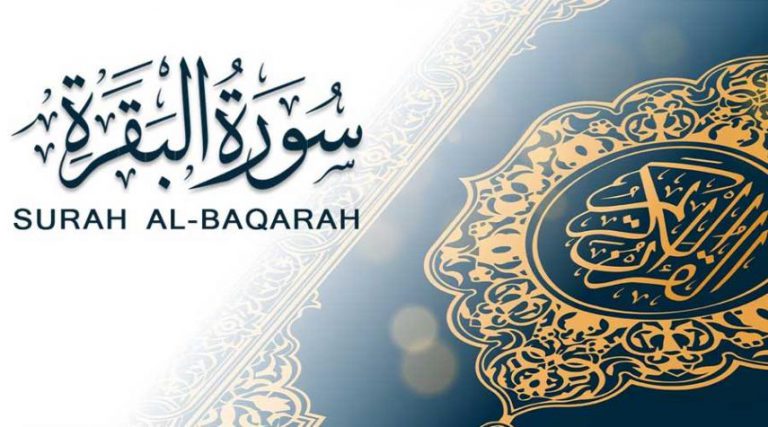 في رحاب القرآن.. من أهم محاور سورة البقرة