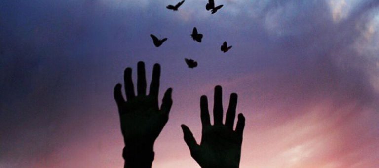 دروس من القرآن: ولاية الفقيه