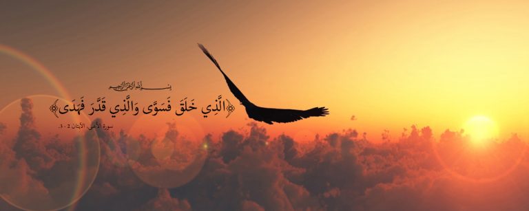 كيف يرى الإنسان الإلهي العالم؟