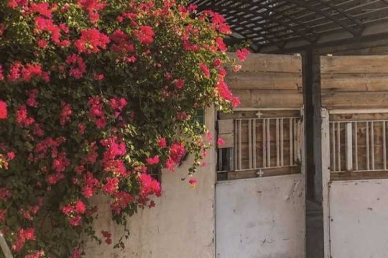 كما تدين تدان