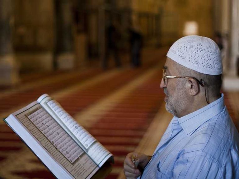 دور المسن في تنمية المجتمع