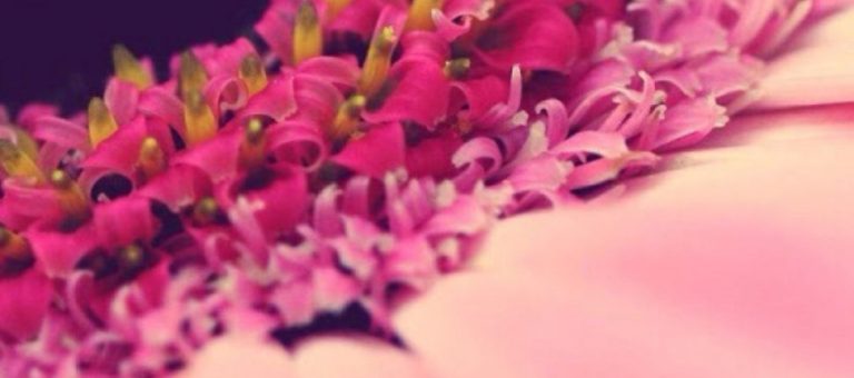 مواعظ روح الله عليه السلام