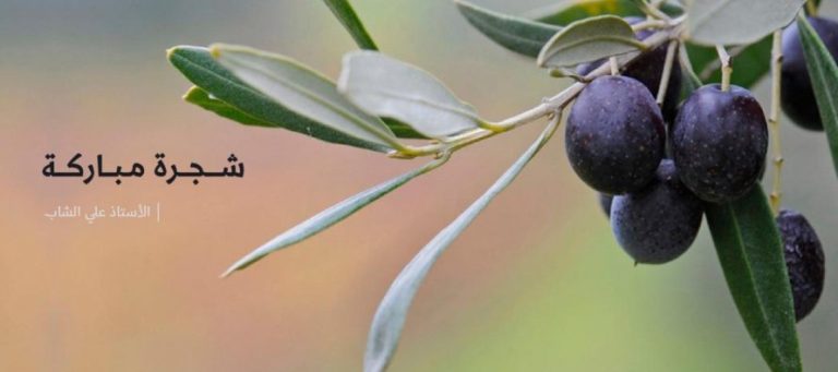 شجرة مباركة