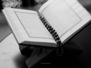 ما هي الآثار التي أبرزتها الروايات لتلاوة القرآن؟