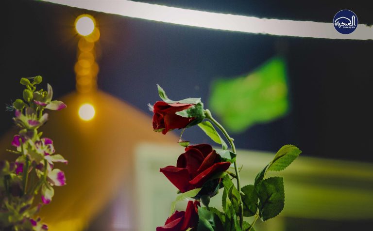 السيدة نرجس وشرف الامومة لخاتم الأوصياء
