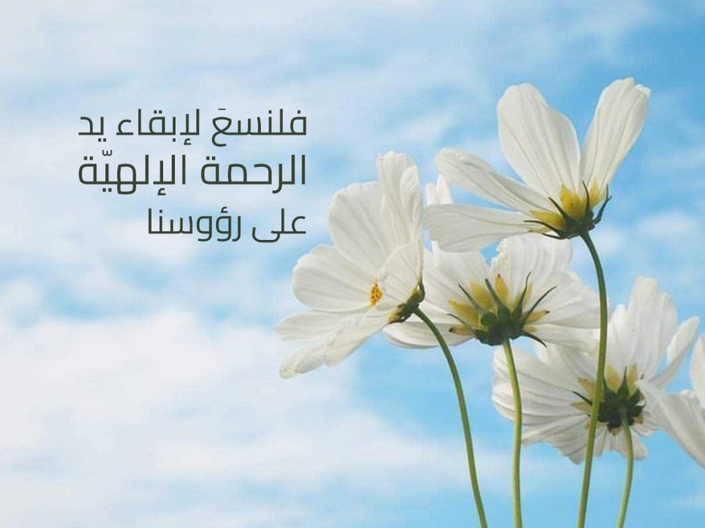 كيف يمكن إقامة دعائم الوحدة في المجتمعات الإسلامية؟