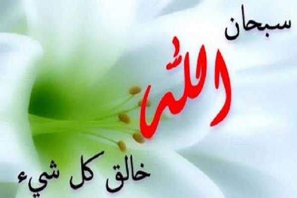 غاية الخلق هي إفاضة الوجود عليه من ذات الله