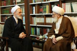 آية الله العظمى نوري الهمداني: الحوزة العلمية شهدت تحولات كبيرة في السنوات الأخيرة