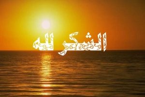 مَنْ بَذَلَ لَكَ جُهْدَ عِنايتِه فَابْذُلْ لَهُ جُهْدَ شُكْرِكَ