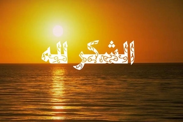 مَنْ بَذَلَ لَكَ جُهْدَ عِنايتِه فَابْذُلْ لَهُ جُهْدَ شُكْرِكَ