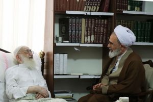 مدير الحوزات العلمية يزور آية الله العظمى نوري الهمداني