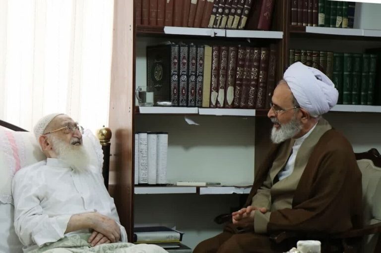 مدير الحوزات العلمية يزور آية الله العظمى نوري الهمداني