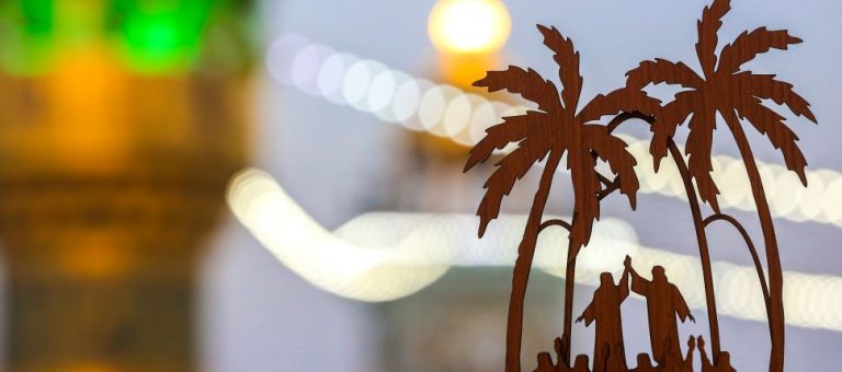 مع الإمام القائد: قبس من غدير الولاية