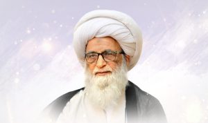 آية الله العظمى النجفي يطالب أحرار العالم: تحرّكوا فوراً لإنقاذ غزة من الموت
