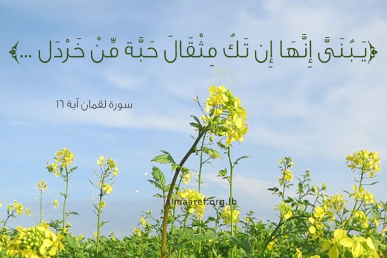 أربعةُ الشرِّ