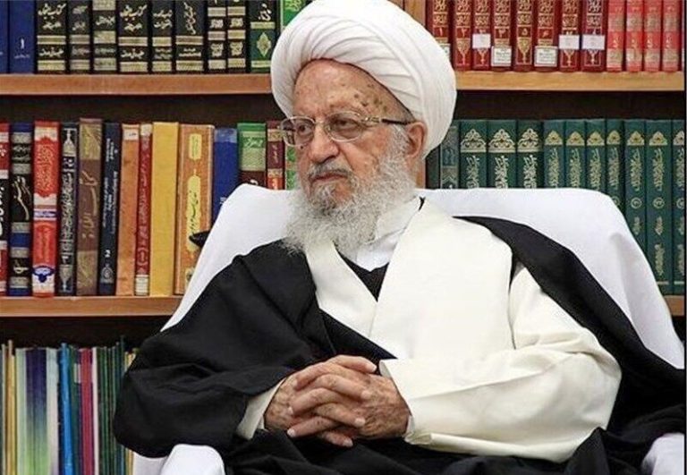 آية الله العظمى مكارم الشيرازي: مسيرة الأربعين تُجسِّد أعظم قِيَم الحبّ والإيثار والإنسانية