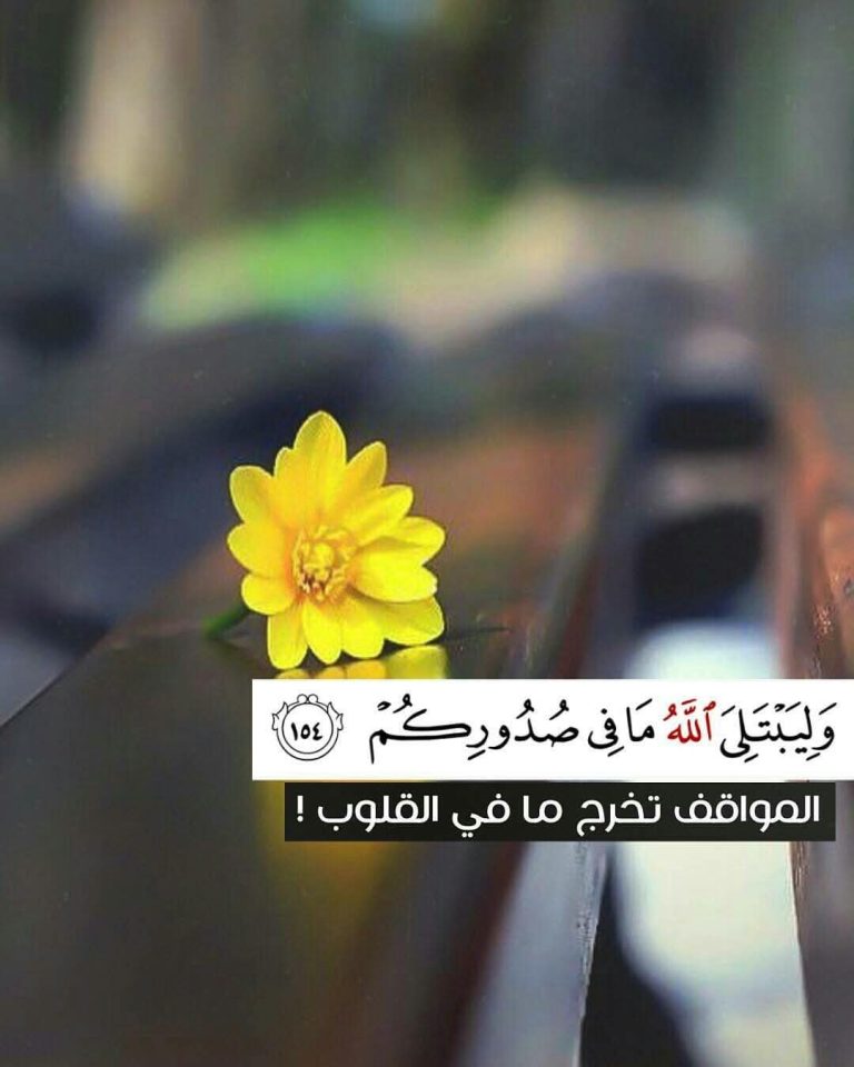 FB_IMG_1764170597657