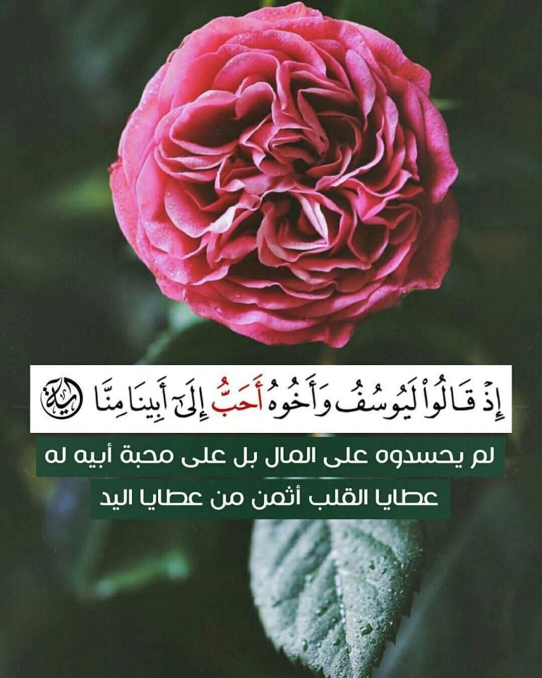 FB_IMG_1764306999276