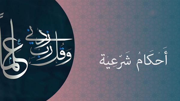 IMAGE_6316CC696A80F_20220906_042825