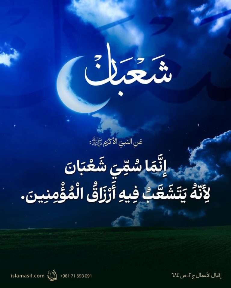 photo_6019070828110089111_y