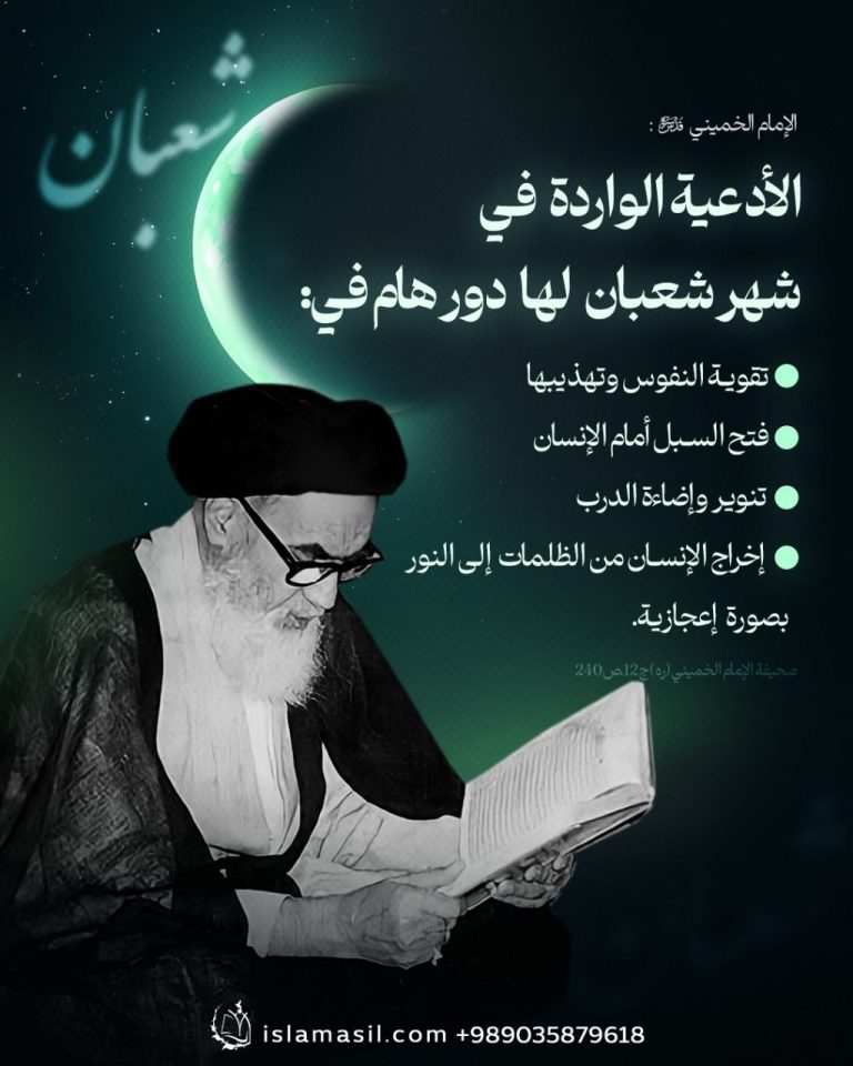 photo_6019070828110089116_y