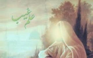 photo_2026-02-11_20-32-28