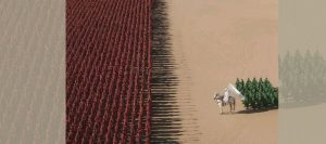 نحنُ أبناء التكليف