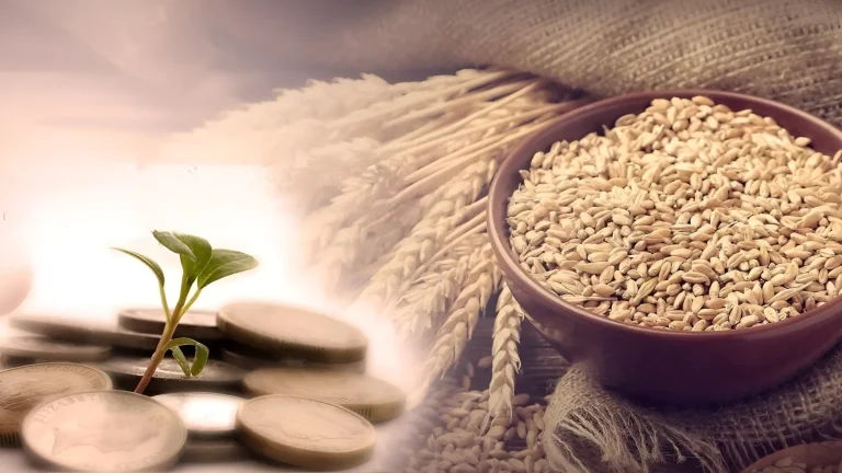 retouch_1773150417346