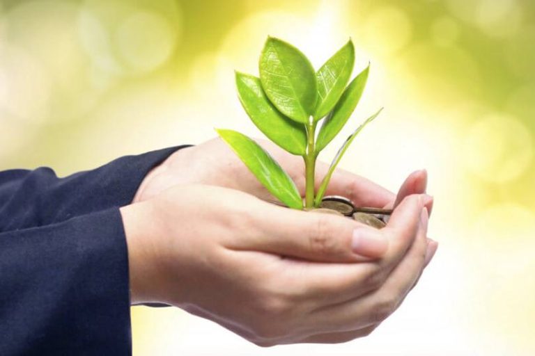 177503245369ccd885c238e