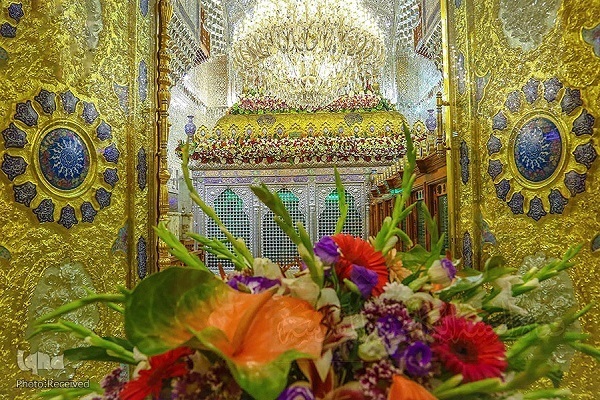 دور الإمام الكاظم (ع) في إرساء البنية التحتية لنظام المرجعية العلمية الشيعية