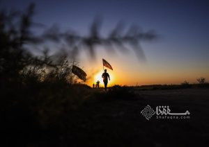 بعدسة شفقنا؛ مشاهد من تدفق زوار الأربعين نحو كربلاء المقدسة