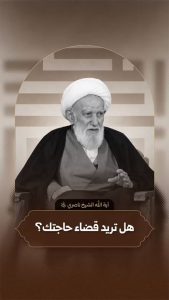 آية الله الشيخ ناصري (قده)