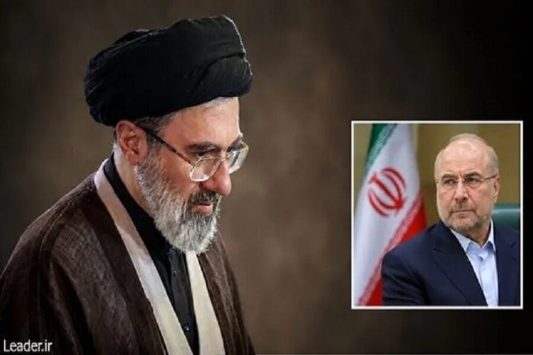 رئيس «مجلس الشورى الإسلامي» يلتقي بقائد الثورة الإسلامية