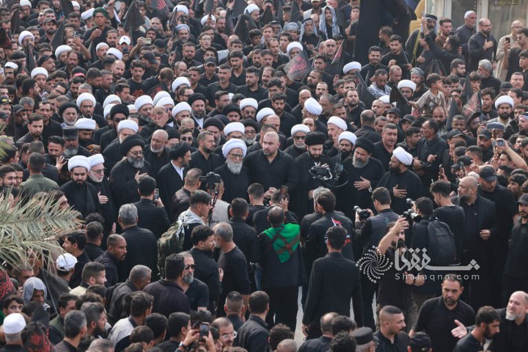 بعدسة شفقنا؛ المسيرة الفاطمية السنوية في النجف الأشرف