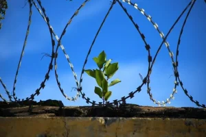 رفض الظلم والطغيان واجب ديني وأخلاقي